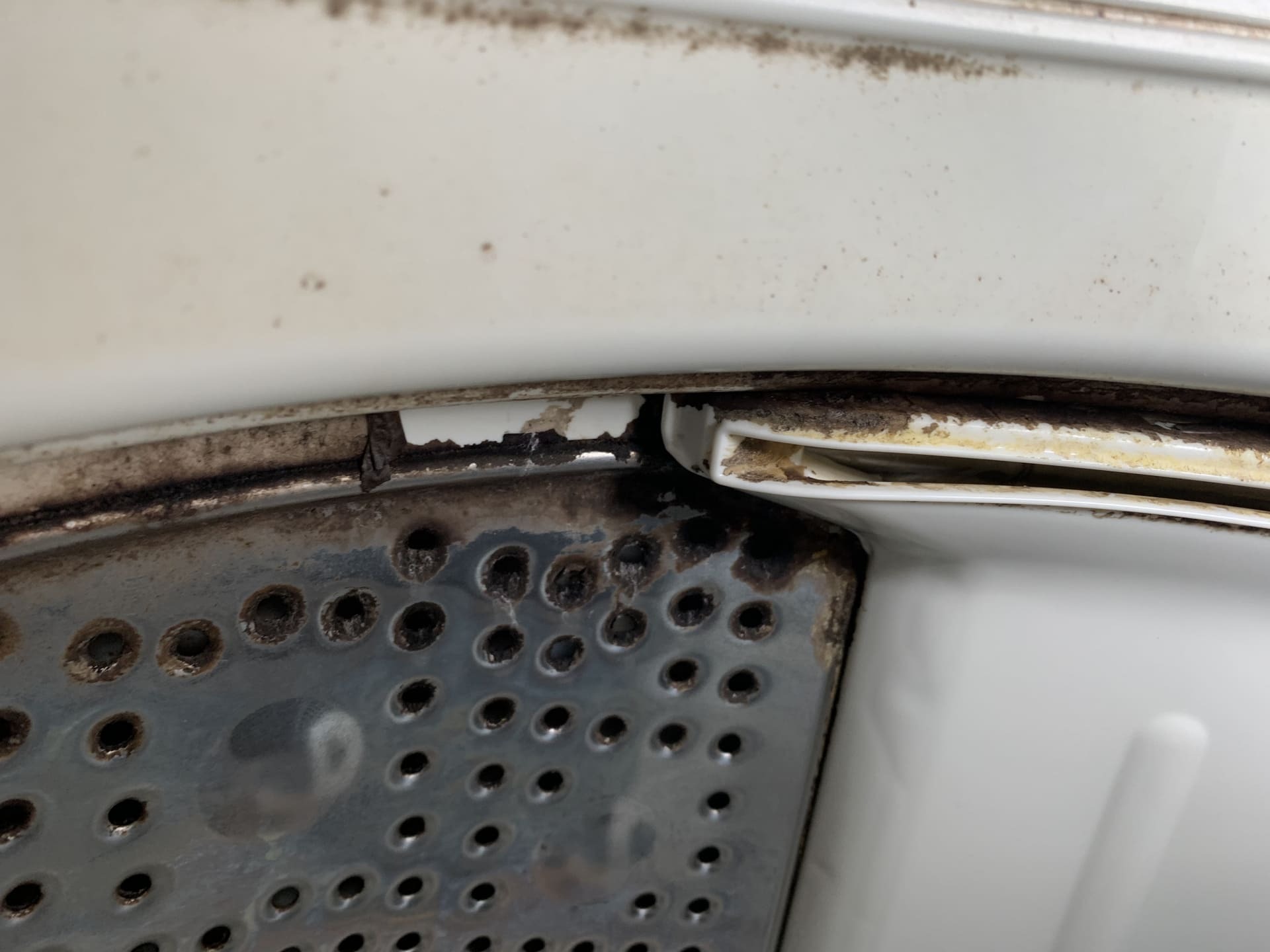 洗濯槽の掃除後にカスが無限に出る！黒いワカメの取り方と終わらない時の対処法 